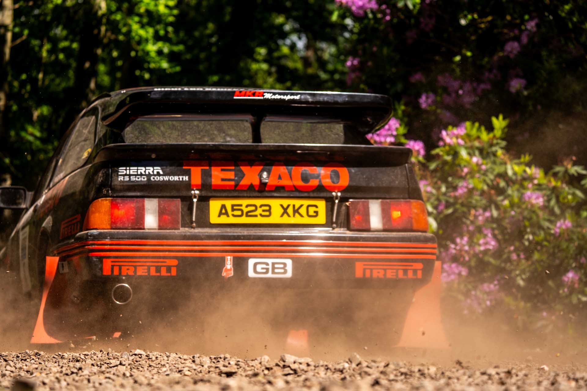 Brechin Castle Rally Photo 102
