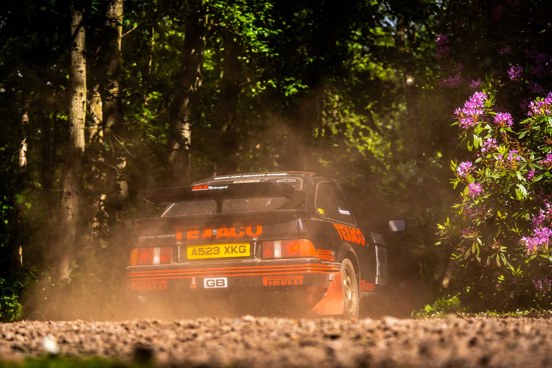 Brechin Castle Rally Photo 103