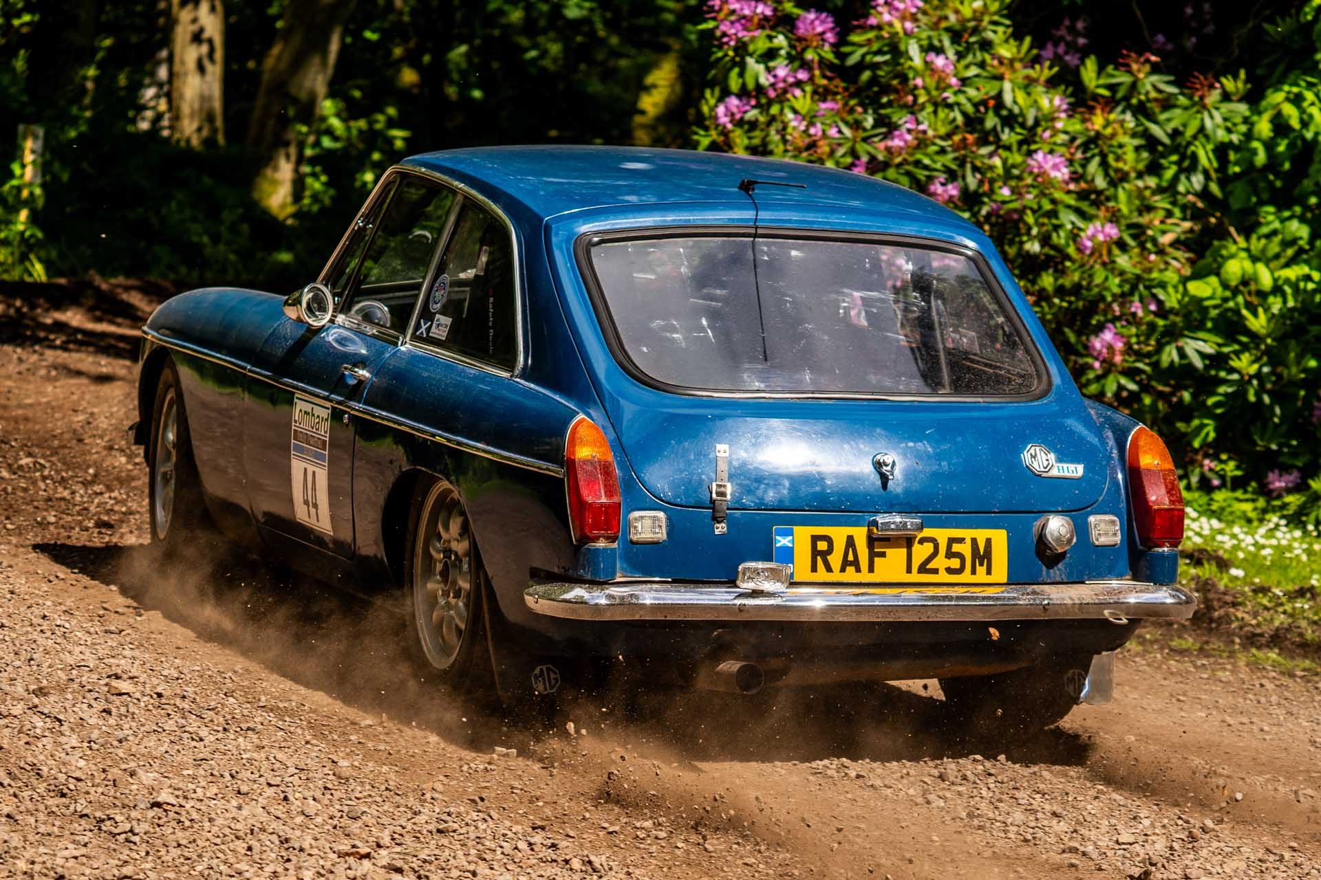 Brechin Castle Rally Photo 107