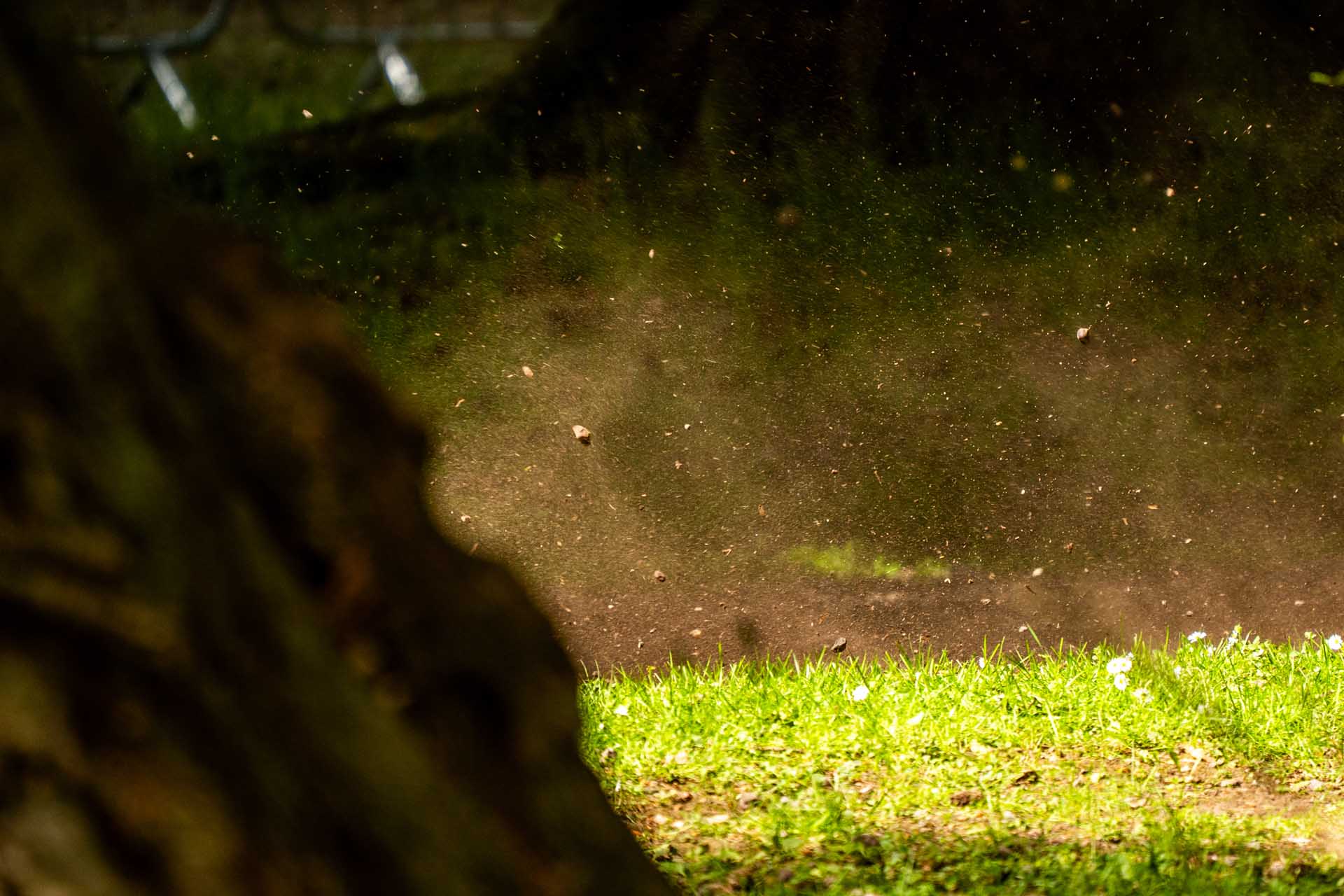 Brechin Castle Rally Photo 125