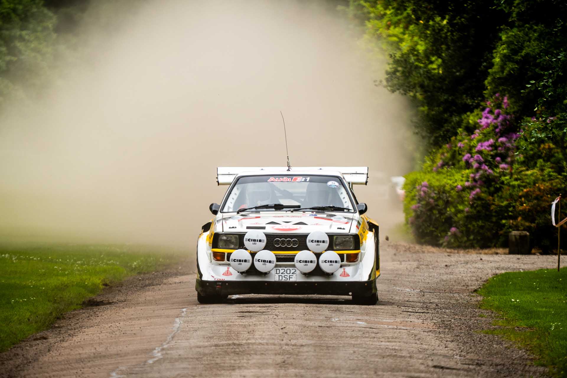 Brechin Castle Rally Photo 20