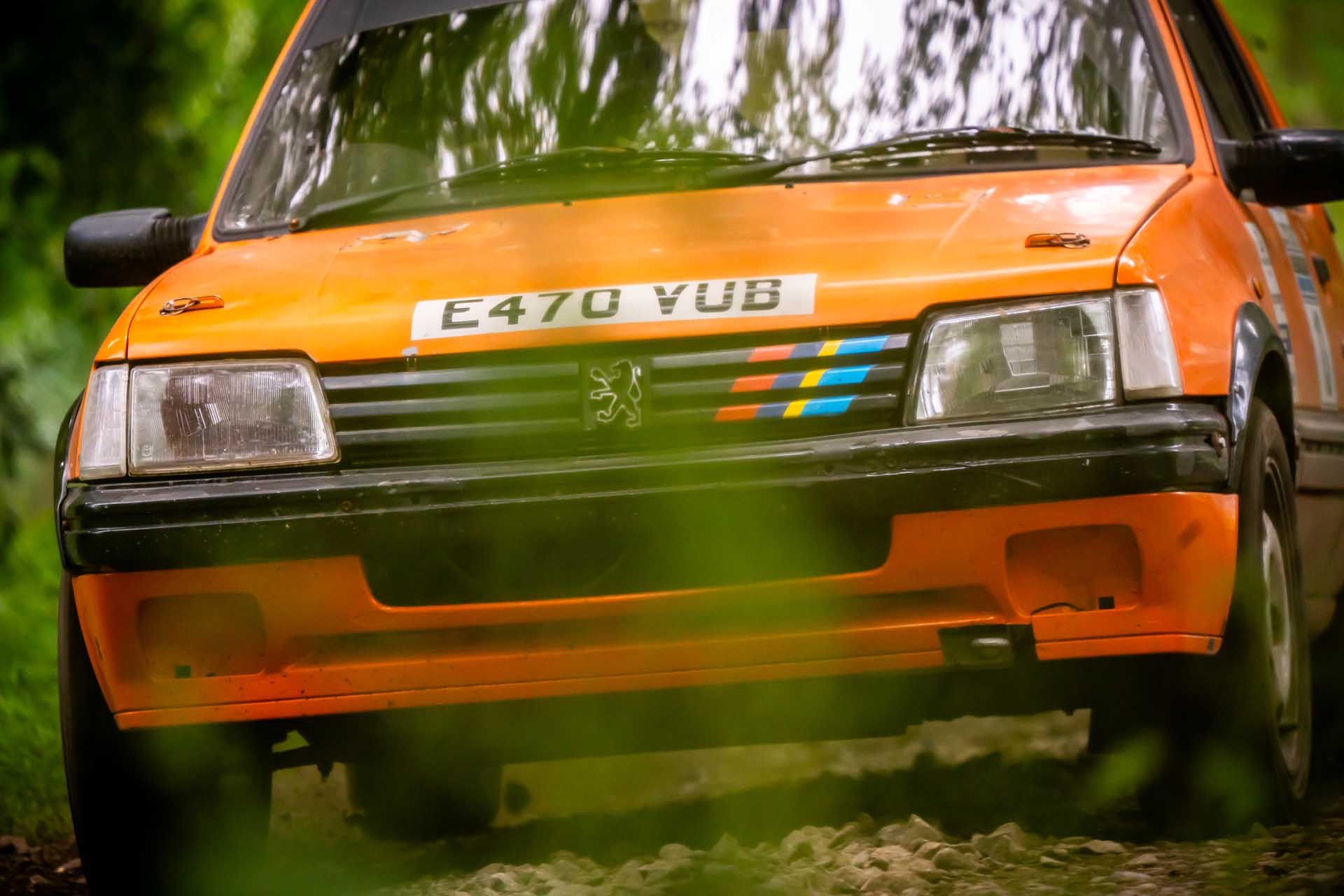 Brechin Castle Rally Photo 88